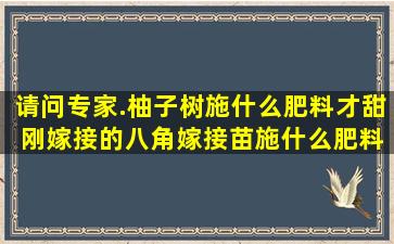 请问专家.柚子树施什么肥料才甜 刚嫁接的八角嫁接苗施什么肥料好